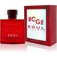 Christian Gautier Soul Essence туалетная вода 100 мл