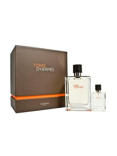 Terre d'Hermes Eau De Toilette Подарочный набор (туалетная вода 100 мл + миниатюра 12.5 мл)