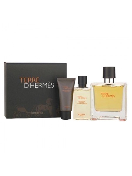 Terre d'Hermes Eau De Toilette Подарочный набор (туалетная вода 100 мл + гель для душа 80 мл + бальзам после бритья 40 мл)