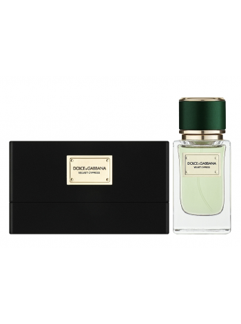 D&G Velvet Cypress парфюмированная вода 50 мл