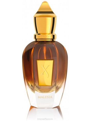 Xerjoff Malesia парфюмированная вода 50 мл