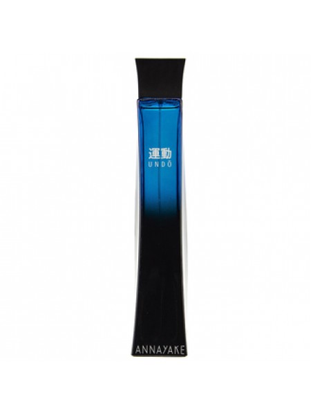 Annayake Undo Pour Homme тестер (туалетная вода) 100 мл