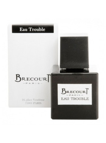 Brecourt Eau Trouble парфюмированная вода 100 мл