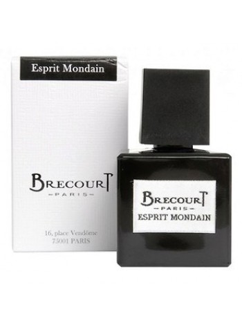 Brecourt Esprit Mondain парфюмированная вода 100 мл