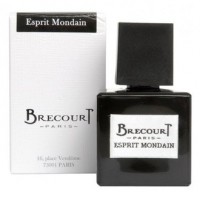 Brecourt Esprit Mondain тестер (парфюмированная вода) 50 мл