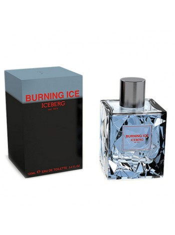 Iceberg Burning Ice туалетная вода 100 мл
