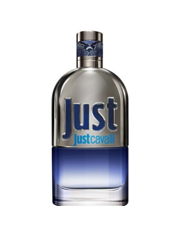 Roberto Cavalli Just Cavalli Him 2013 тестер (туалетная вода) 90 мл