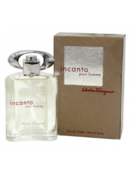 Salvatore Ferragamo Incanto Pour Homme туалетная вода 30 мл